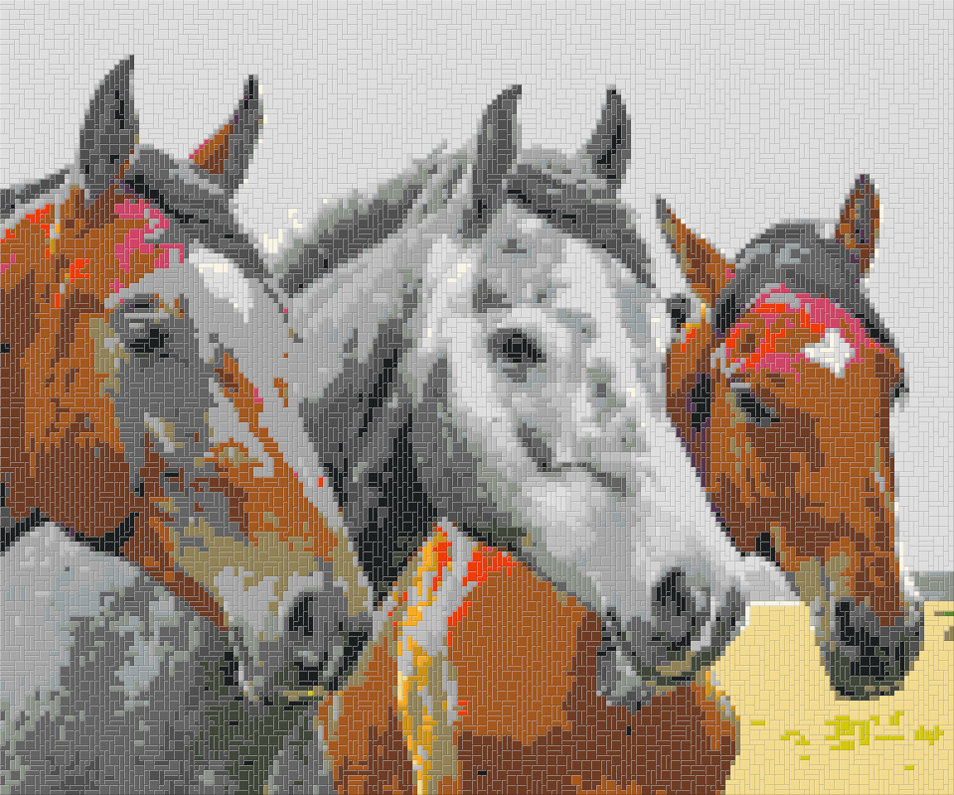 Horses